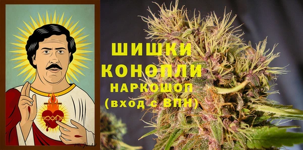 стаф Баксан